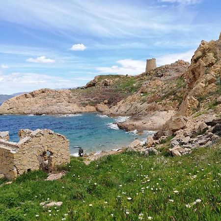 Joli Appartement En Corse Avec Piscine Belgodère Exterior foto